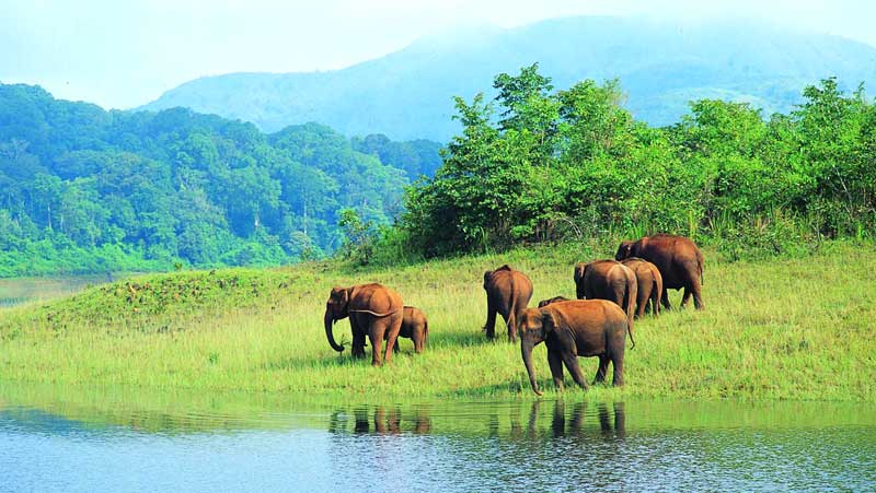 Kerala tour package