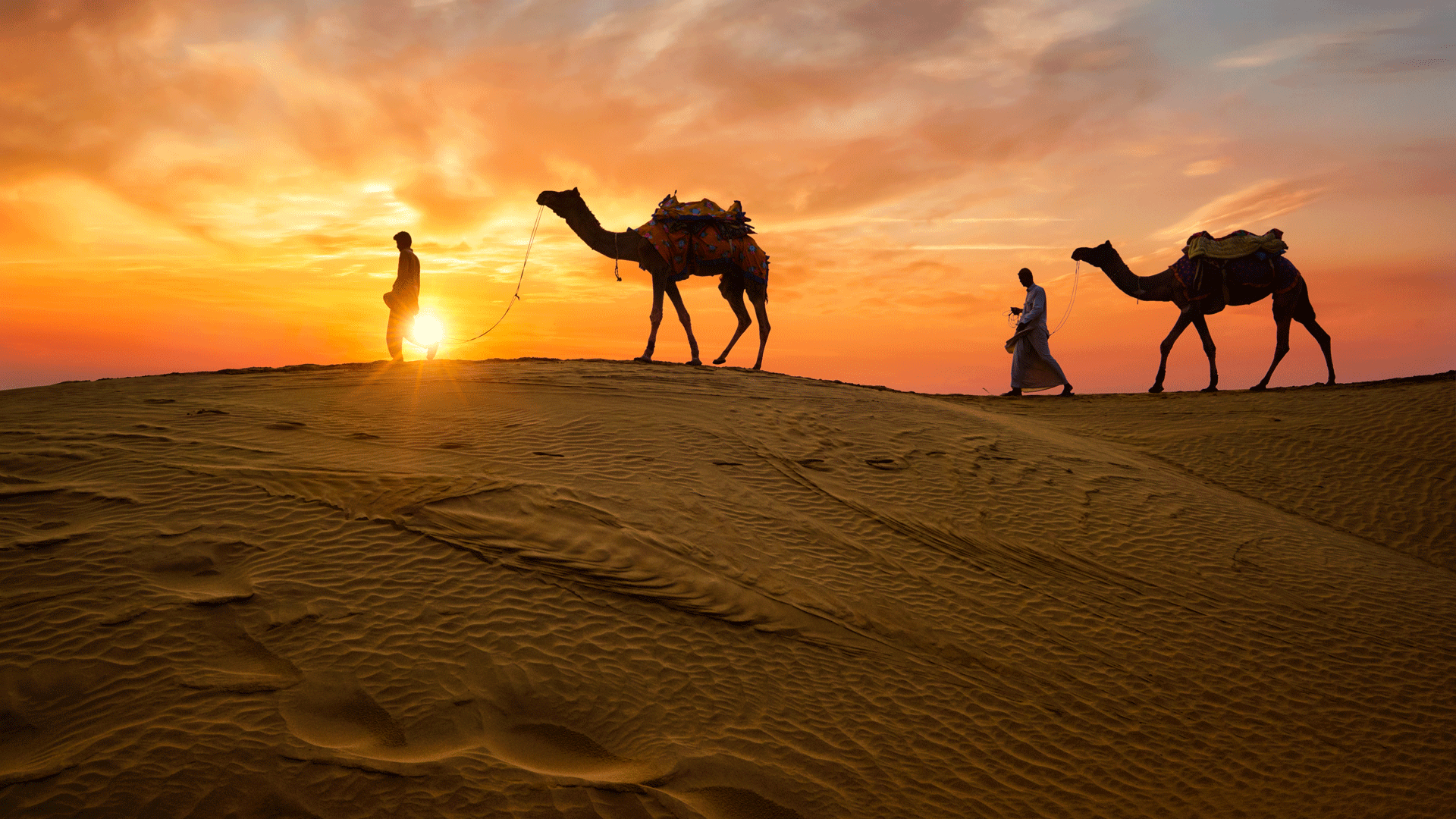 india tour packages